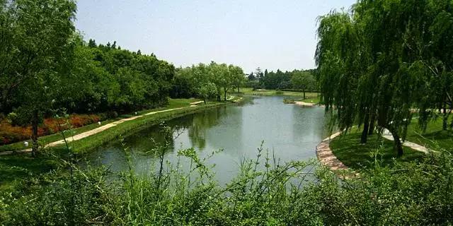 过年上海周边旅游最值得去的地方,上海假期周边旅游攻略大全