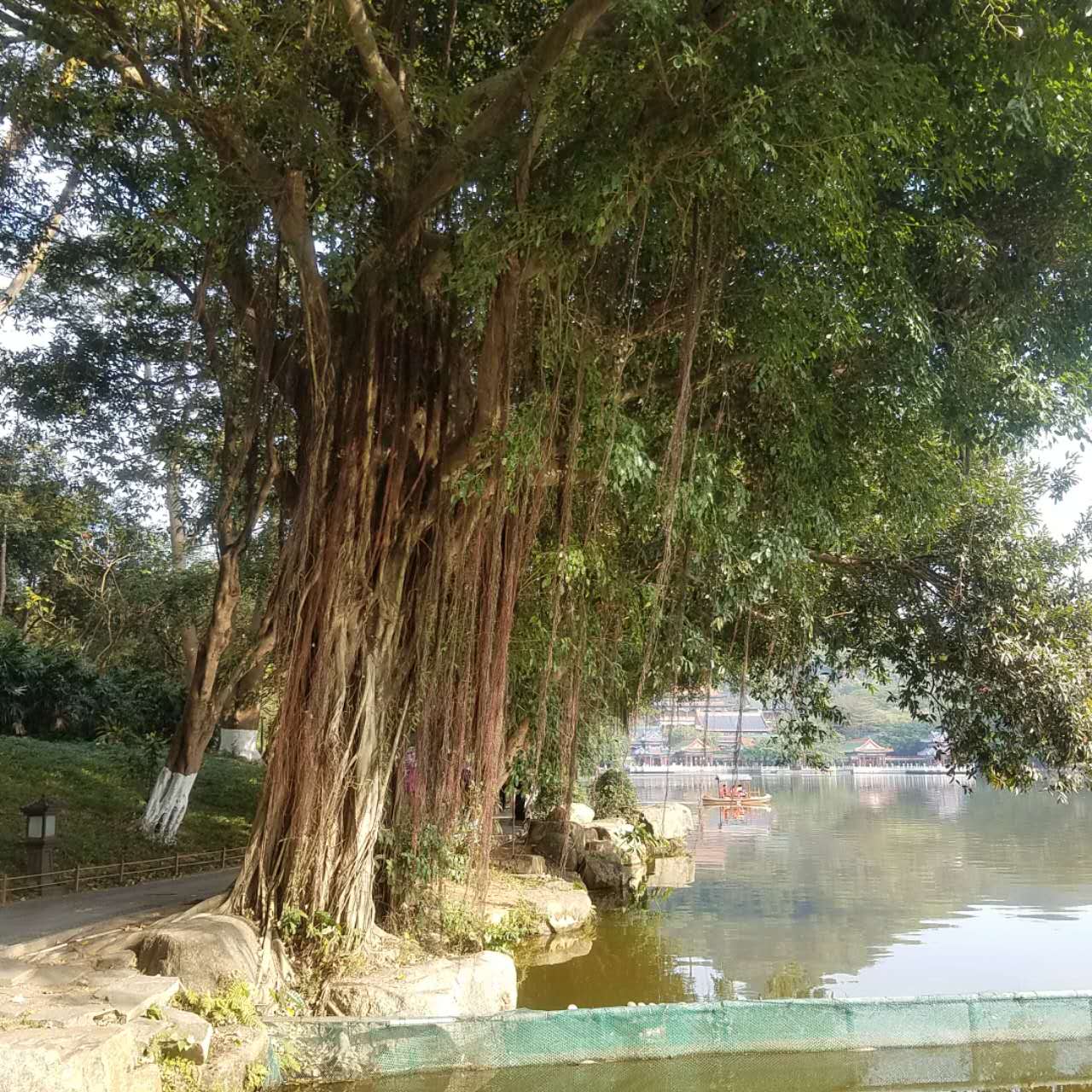 春节去珠海合适吗,珠海港澳游