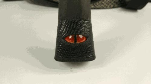 你认为最好看的球拍,如果只看长相