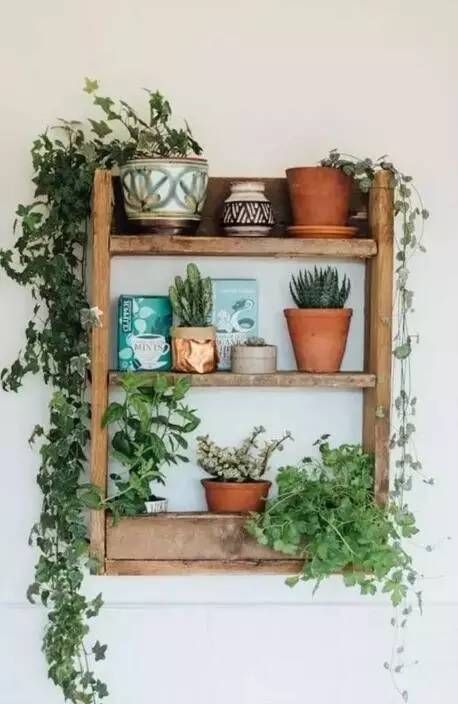 自己动手做花架一层,自己亲自动手做的花架就是好