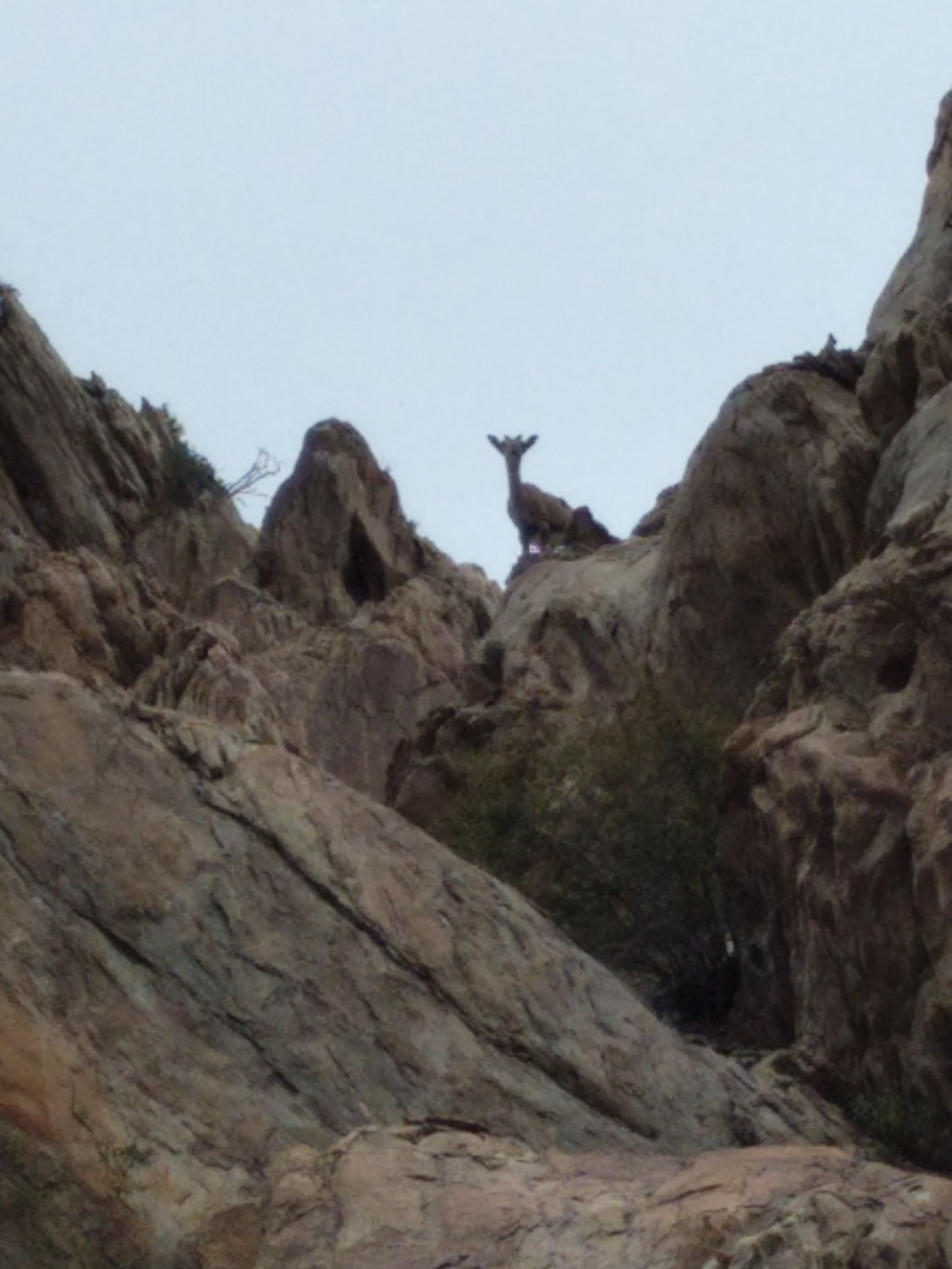 宁夏到陕西的沿途旅游,从宁夏自驾游到重庆多长时间