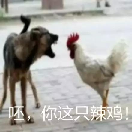 各大牌鸡年限定,外国人对鸡看法