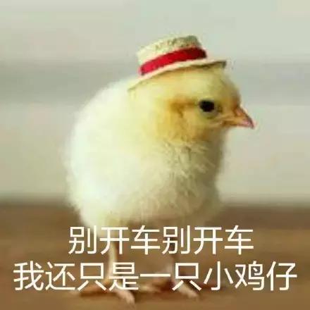 各大牌鸡年限定,外国人对鸡看法