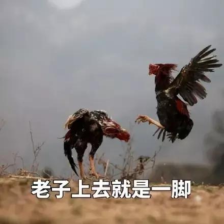 各大牌鸡年限定,外国人对鸡看法