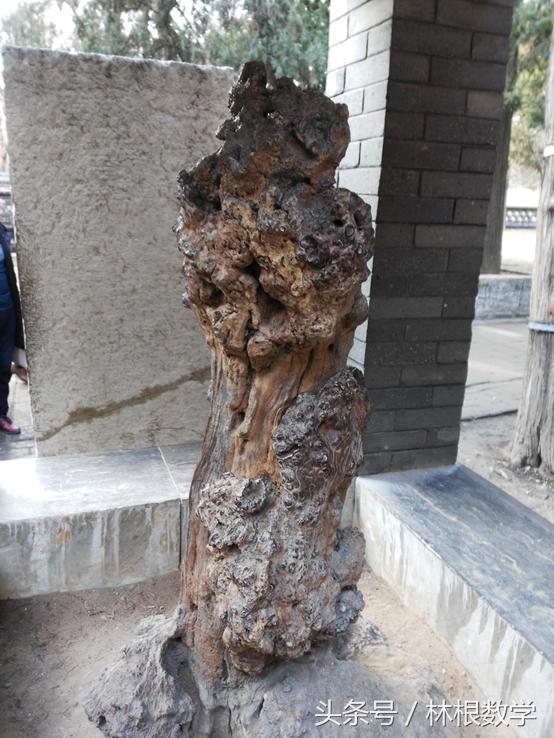 数字三孔—春节寻根之旅