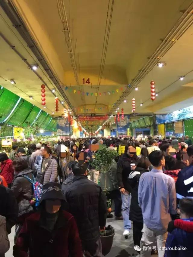 春节花市的鲜花,春节能看花的植物