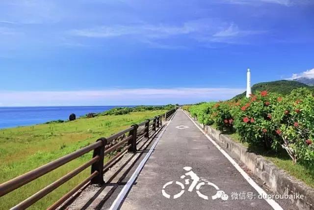 春节花市的鲜花,春节能看花的植物