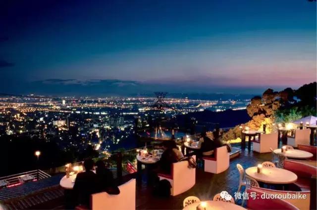 春节花市的鲜花,春节能看花的植物