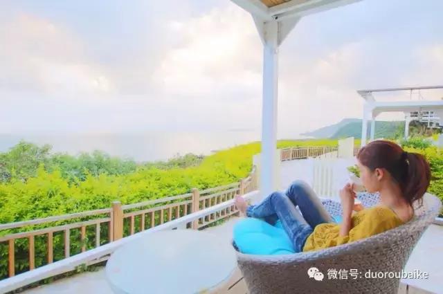 春节花市的鲜花,春节能看花的植物