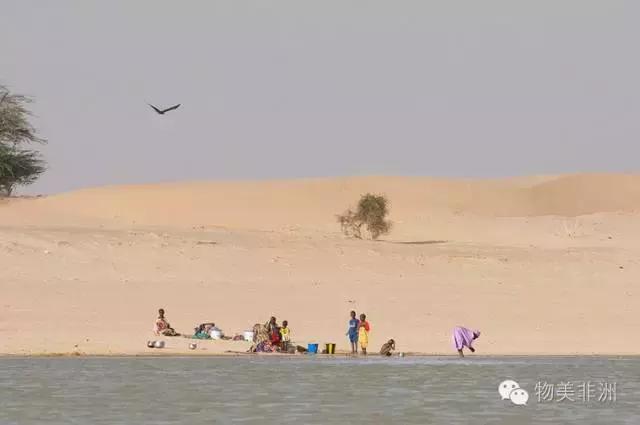 西非尼日尔国家怎么样,尼日尔是阿拉伯国家吗