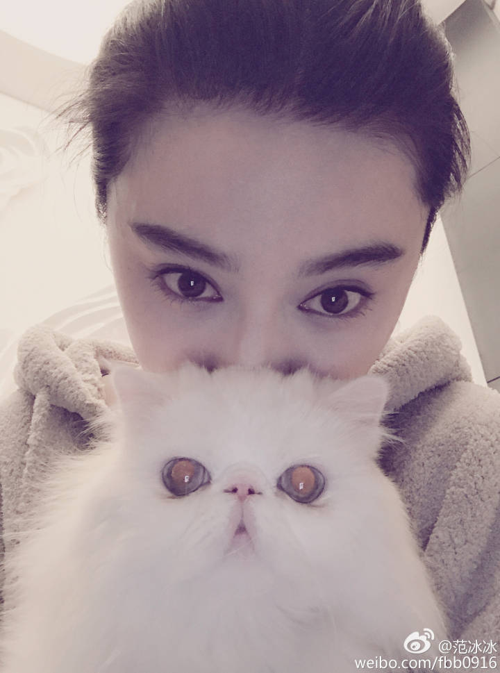 范冰冰微博被猫抢镜 (范冰冰有没有带美瞳)
