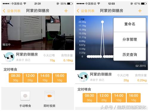 让猫自己在家10天,春节让猫独自在家
