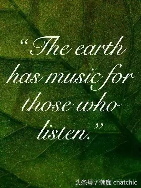 壁纸控喜欢的小清新,壁纸控原神篇