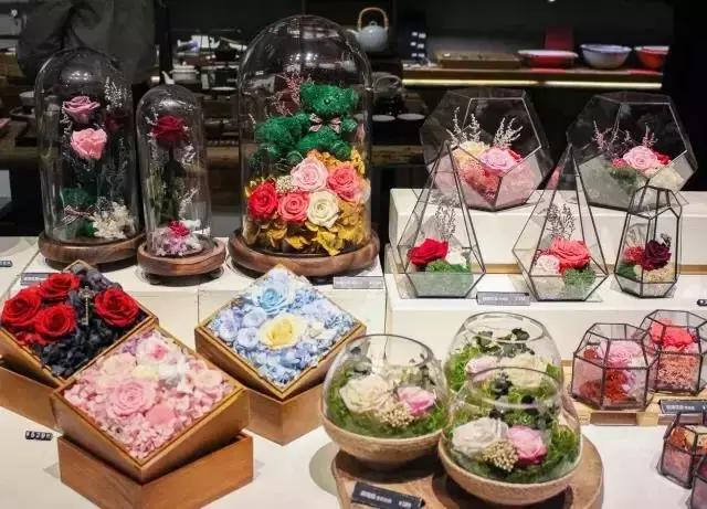 广州最值得去摄影的地方,广州摄影打卡景点