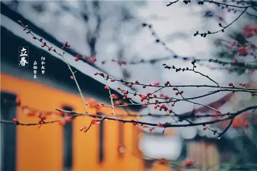 立春了怎么办小妙招,立春特别冷怎么回事