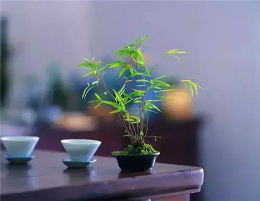 立春了怎么办小妙招,立春特别冷怎么回事