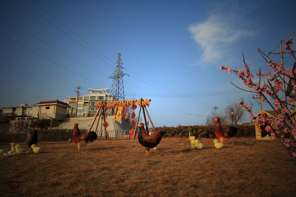 天水麦积区翠湖镇,甘肃天水麦积区翠湖