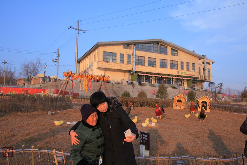 天水麦积区翠湖镇,甘肃天水麦积区翠湖