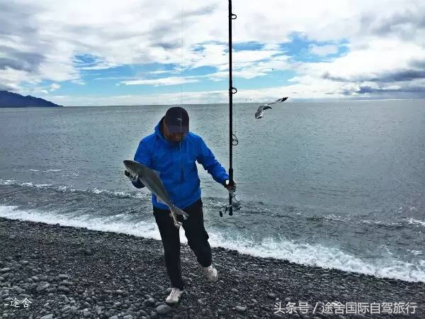 新西兰旅游游记,4月新西兰游记