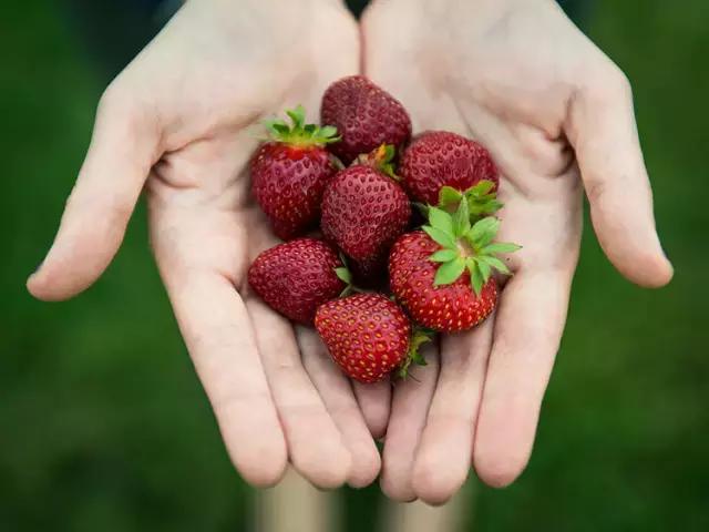 365天摄影计划,新的一年要做的365件事