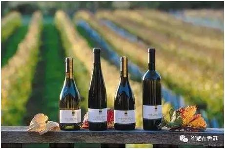 《崔熙在香港》之第八期请到专业人士*法讲**国新西兰红酒啦