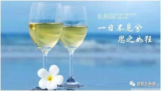 《崔熙在香港》之第八期请到专业人士*法讲**国新西兰红酒啦