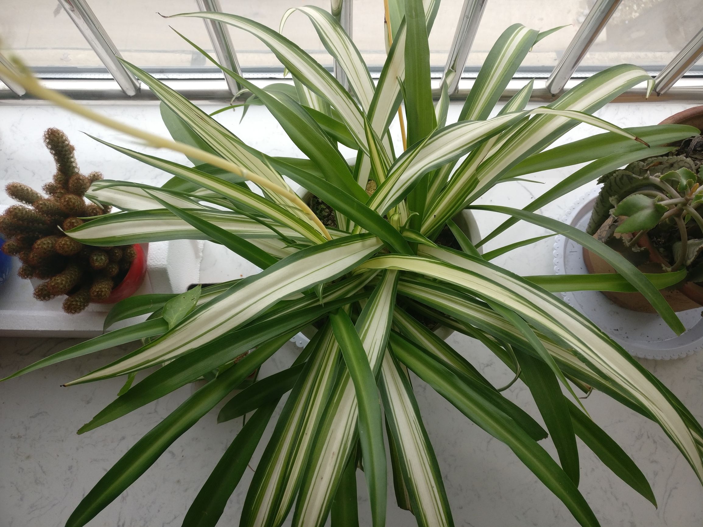 一加3t测评,一加3t详细评测