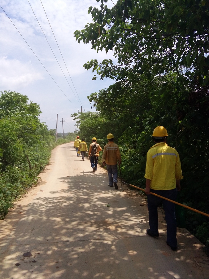 铁路供电段春运,铁路供电春运
