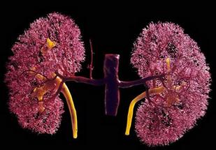 iga肾病治疗新进展,达格列净治疗iga肾病