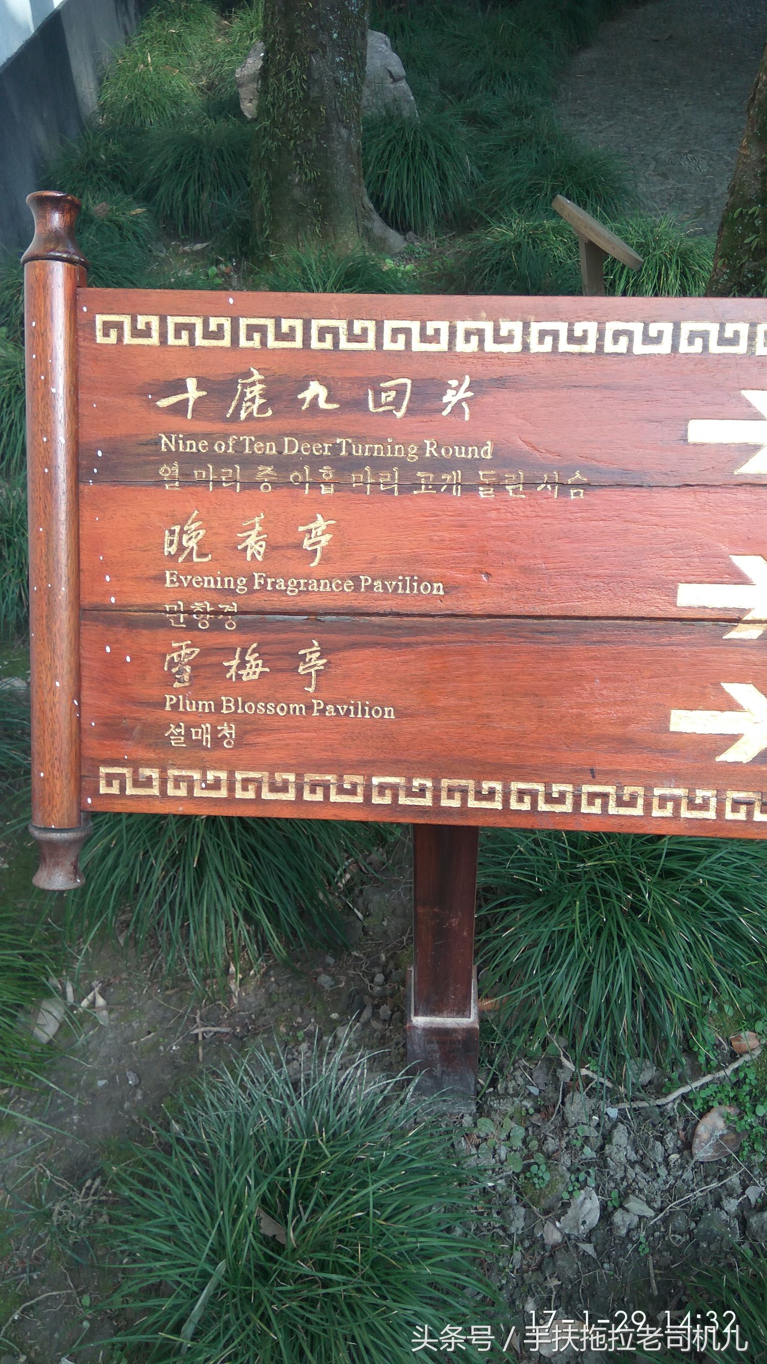 松江醉白池旅游攻略,松江醉白池免费时段