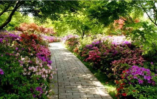 过年上海周边旅游最值得去的地方,上海假期周边旅游攻略大全