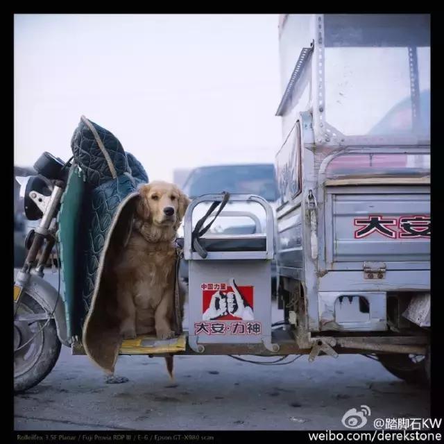 在你眼中是个怎么样的女孩,天津给人的感觉是什么