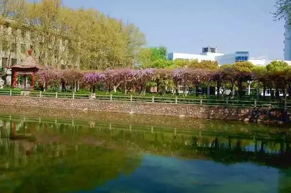 金陵十三校齐贺新春,请您查收一份来自南大的新春祝福