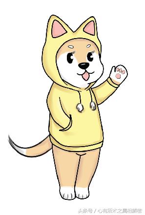 数字与生肖五行的关系,五行与生肖怎么搭配讲解