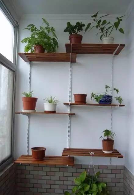 自己动手做花架一层,自己亲自动手做的花架就是好