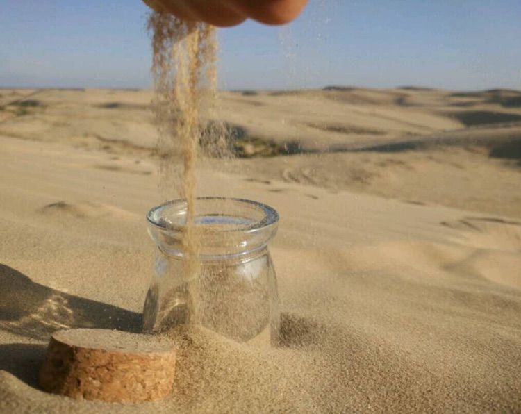 我爱远方风景,我爱远方和自由