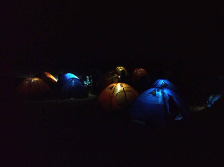 我爱远方风景,我爱远方和自由