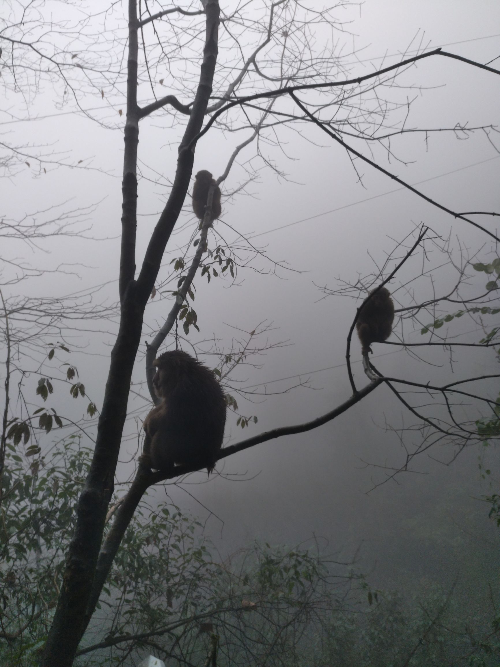 宁夏到陕西的沿途旅游,从宁夏自驾游到重庆多长时间