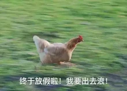 各大牌鸡年限定,外国人对鸡看法