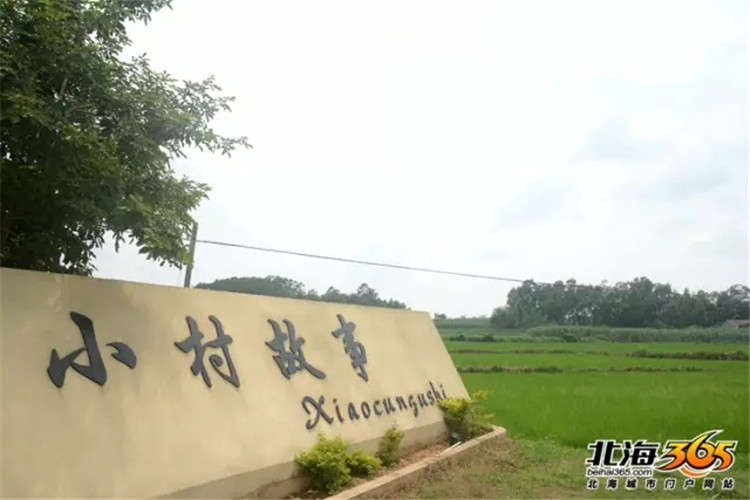 元旦北海好玩的地方,春节去北海还是去西双版纳好玩