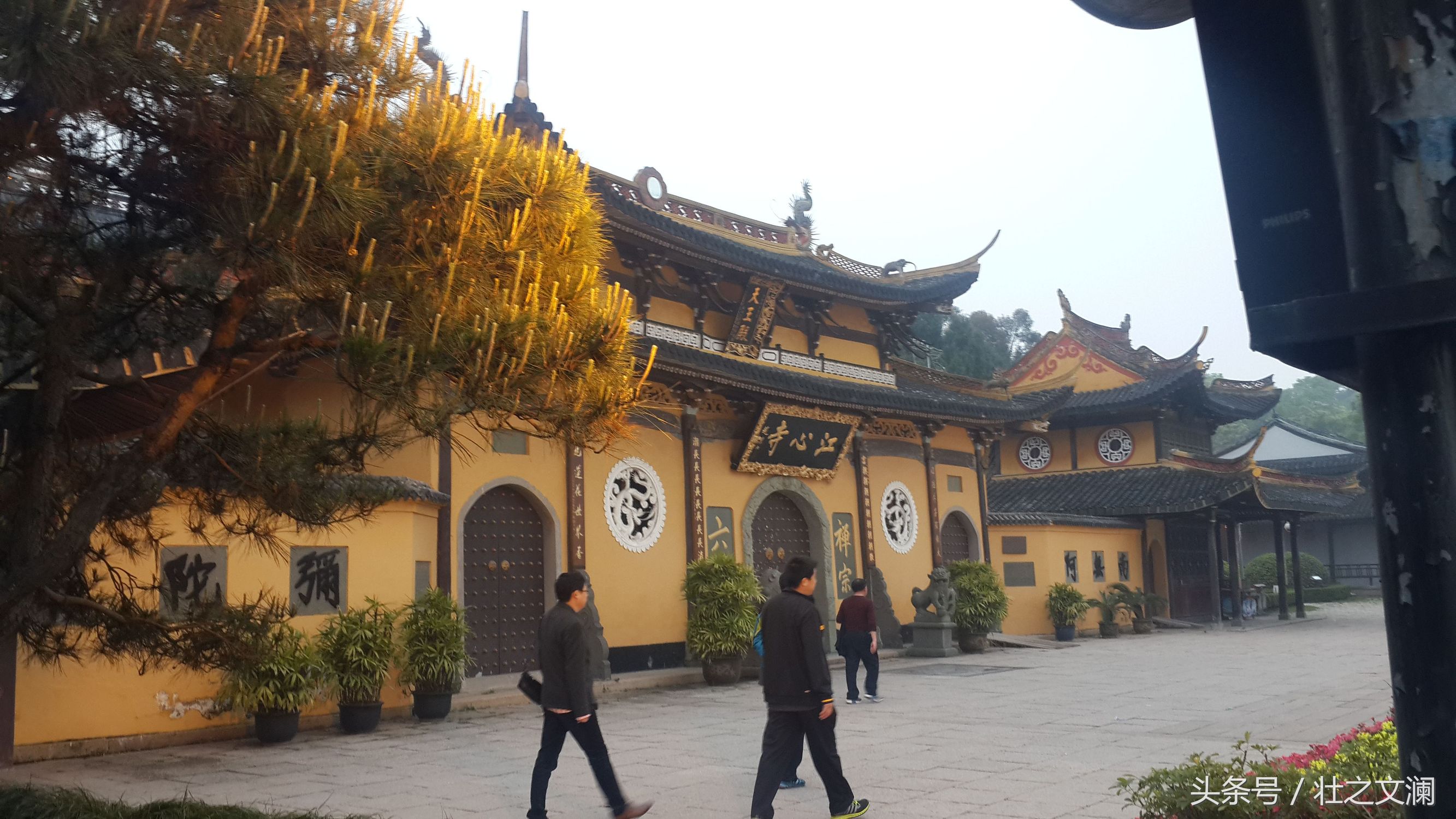 游温州江心屿的诗句,游温州江心岛屿古诗