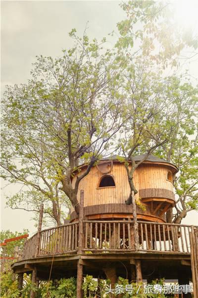 中国亲子度假酒店排名,优选亲子酒店指南