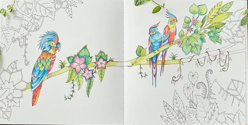 涂色的秘密花园绘本,secretgarden秘密花园