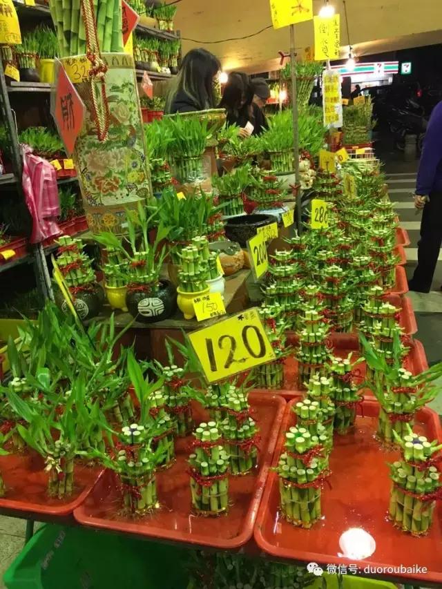 春节花市的鲜花,春节能看花的植物