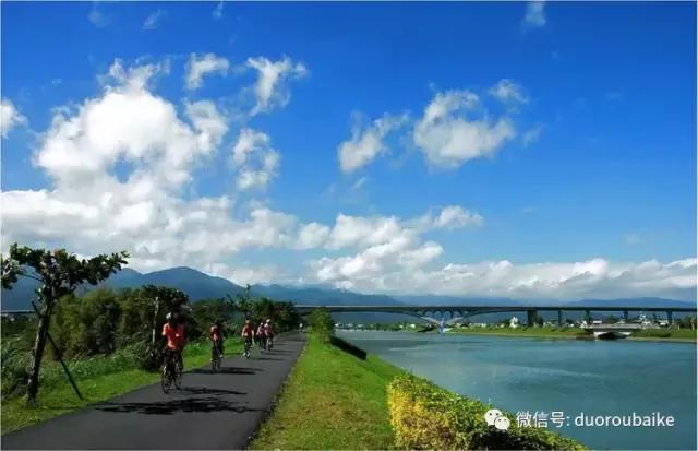 春节花市的鲜花,春节能看花的植物