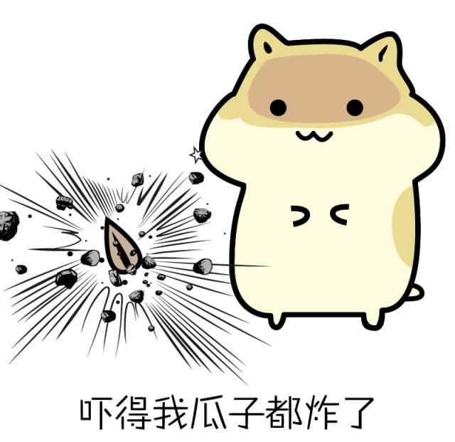 彩妆暴利,彩妆断货王视频