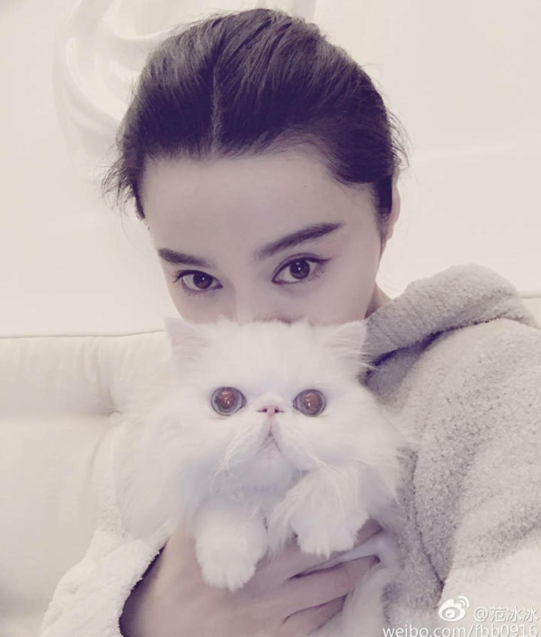 范冰冰微博被猫抢镜 (范冰冰有没有带美瞳)