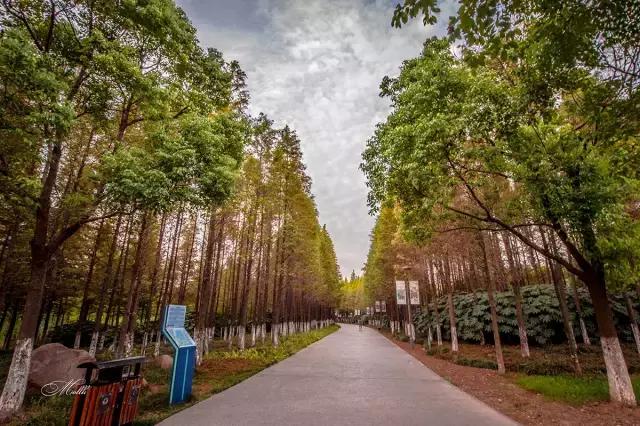 生活中的潜规则看完惊呆了,生活中有哪些潜规则需要记住