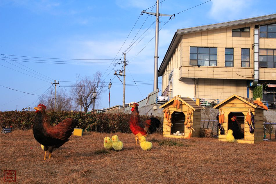 天水麦积区翠湖镇,甘肃天水麦积区翠湖
