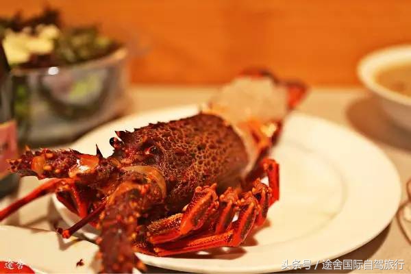 新西兰旅游游记,4月新西兰游记